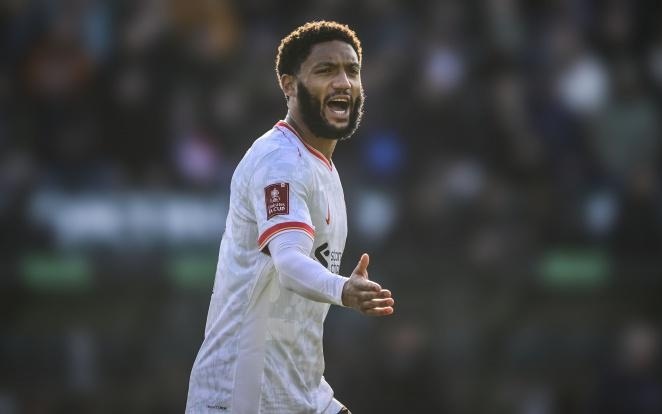 的表现几乎 的表现几乎